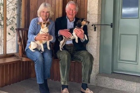 Rei Charles III lança roupas de luxo para cães com preços polêmicos